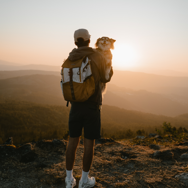 All versions backpack