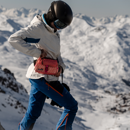 All versions backpack Rose